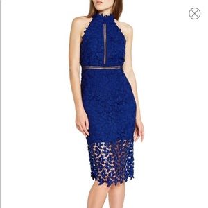 Bardot Gemma halter lace sheath dress